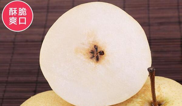 1760177559.jpg tupian_xueli3.jpg