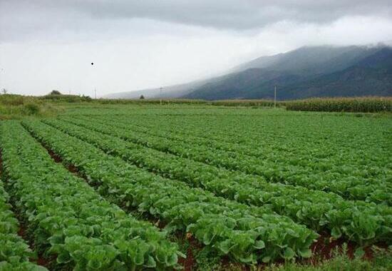 1760955148.jpg tupian_jidi06.jpg