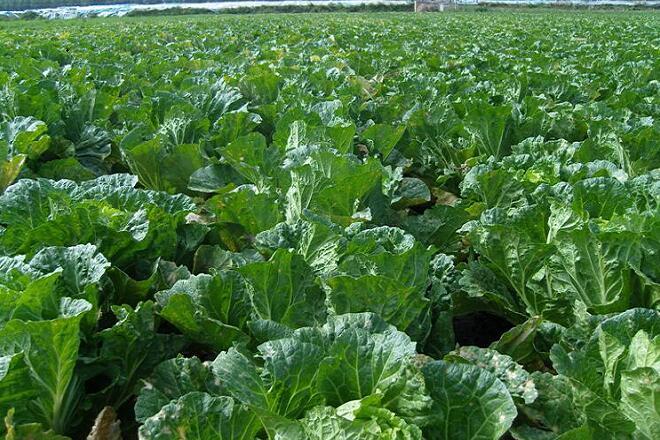 1760955823.jpg tupian_jidi16.jpg