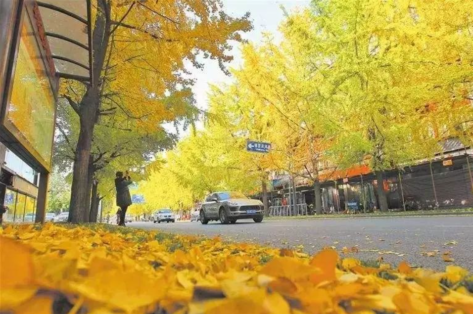 1762260010.png 12.png