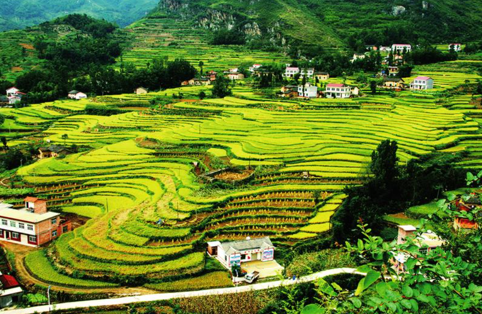 1762506511.png 12333.png